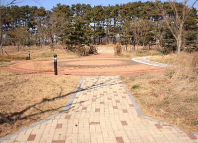 소나무 공원